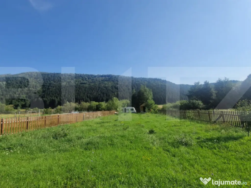 Teren Plaiul Foii, vedere spre muntii Bucegi si apa Barsa 10