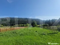 Teren Plaiul Foii, vedere spre muntii Bucegi si apa Barsa 10