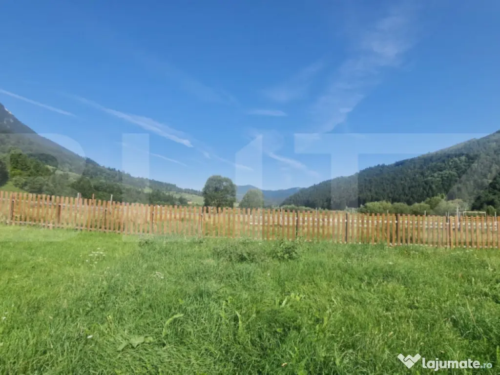 Teren Plaiul Foii, vedere spre muntii Bucegi si apa Barsa 10