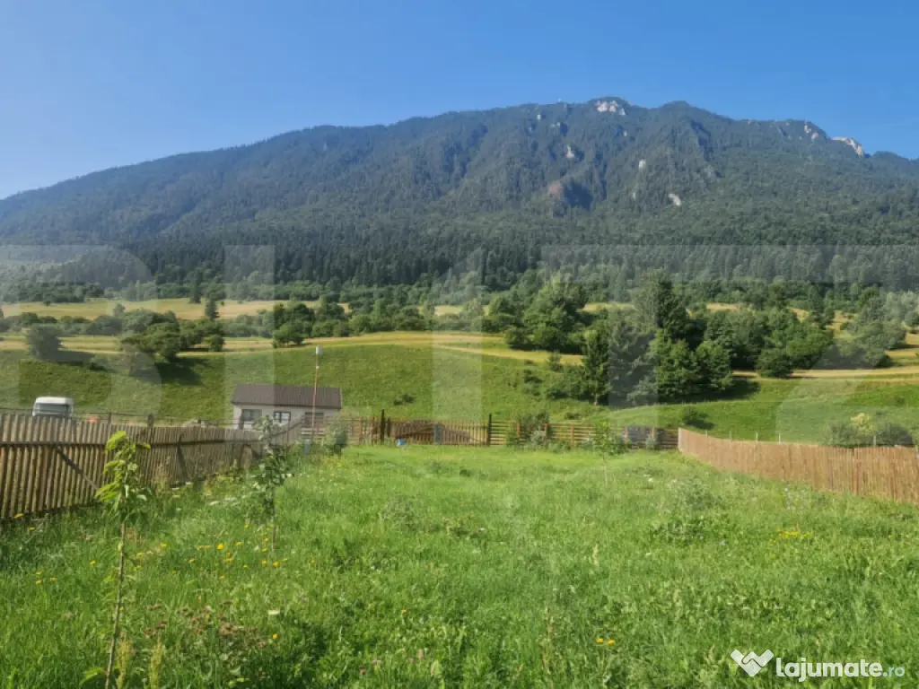 Teren Plaiul Foii, vedere spre muntii Bucegi si apa Barsa 10