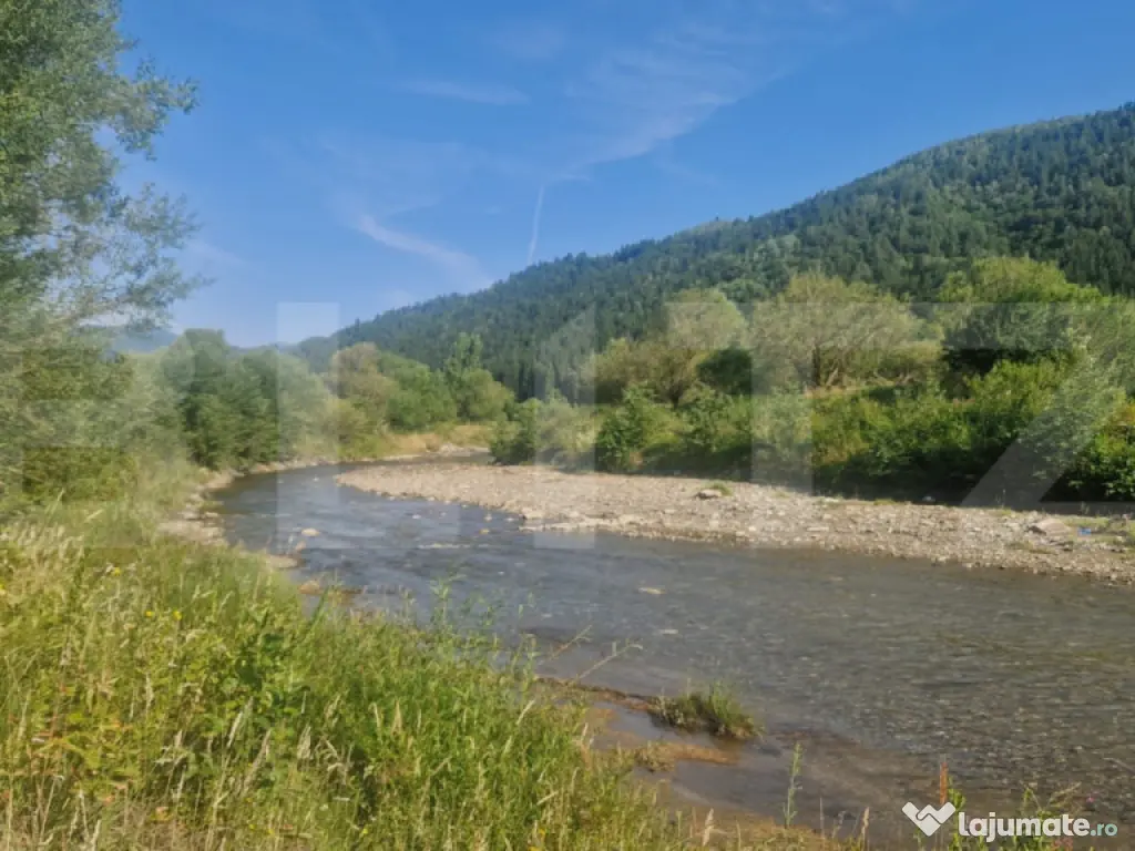 Teren Plaiul Foii, vedere spre muntii Bucegi si apa Barsa 10