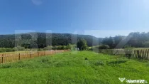 Teren Plaiul Foii, vedere spre muntii Bucegi si apa Barsa 10