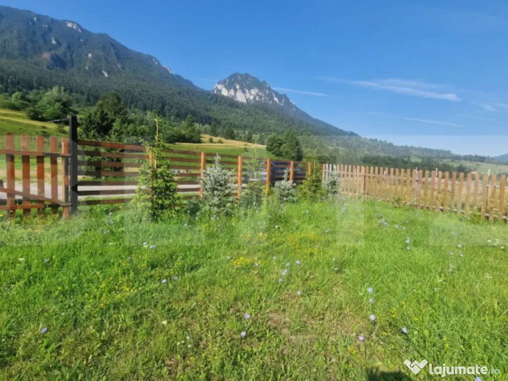 Teren Plaiul Foii, vedere spre muntii Bucegi si apa Barsa 10