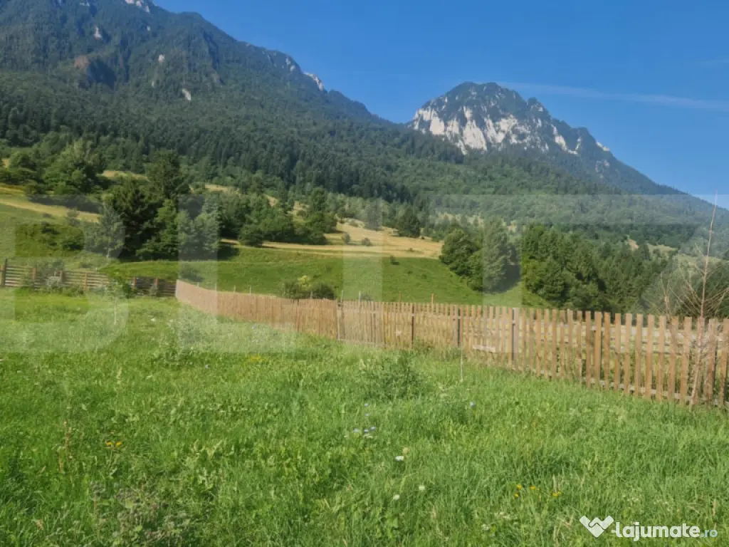 Teren Plaiul Foii, vedere spre muntii Bucegi si apa Barsa 10