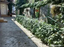 Teren de 435mp cu utilitati si deschidere 14 m- Coiciu / co