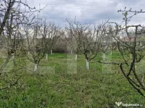 Teren de 2700 mp, deschiderea la strada principala, Borscaut