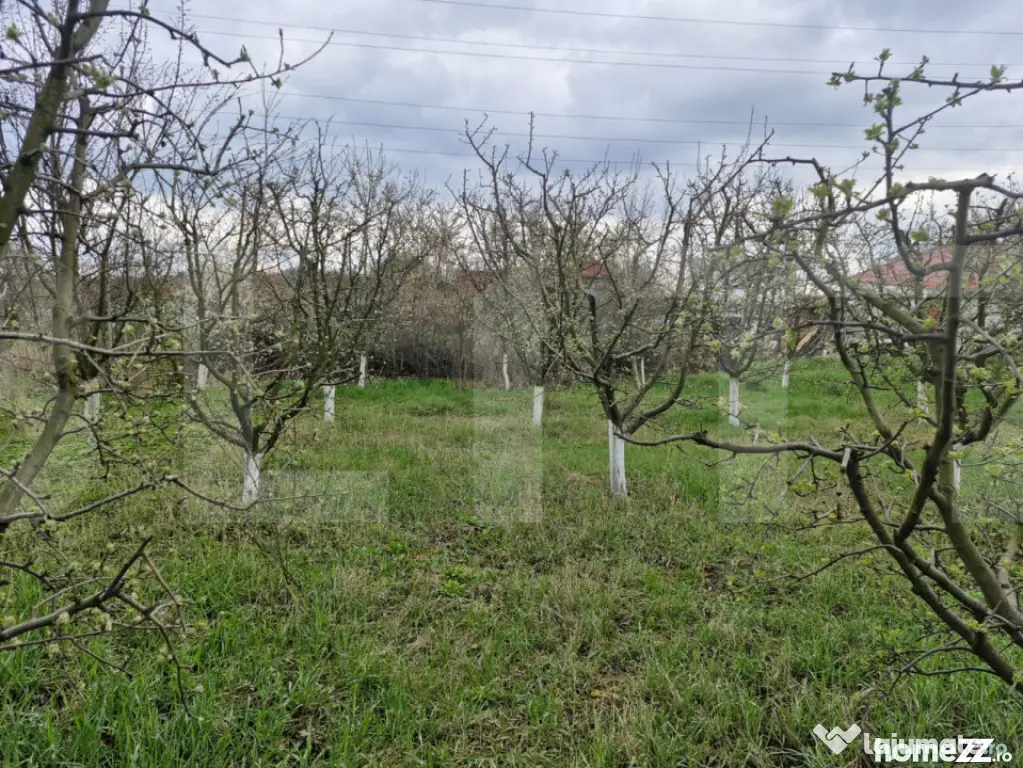 Teren de 2700 mp, deschiderea la strada principala, Borscaut - Dorohoi (Botosani)