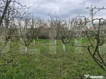 Teren de 2700 mp, deschiderea la strada principala, Borscaut