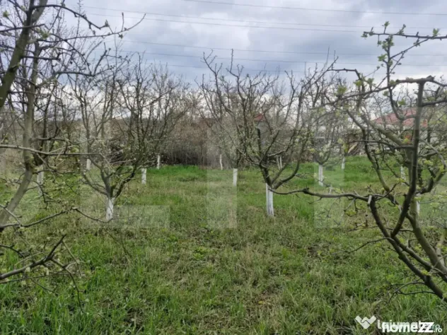 Teren de 2700 mp, deschiderea la strada principala, Borscaut - Dorohoi (Botosani)