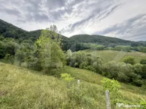 Teren extravilan 23.376 mp, în apropiere de Brad