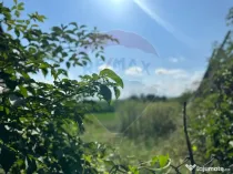 Teren intravilan 3.765 mp cu casă – Bodești de Jos