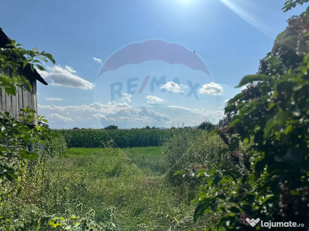 Teren intravilan 3.765 mp cu casă – Bodești de Jos