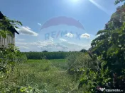 Teren intravilan 3.765 mp cu casă – Bodești de Jos 