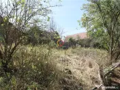 Casa traditionala Bruiu Somartin judet Sibiu 