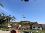 Casa traditionala Bruiu Somartin judet Sibiu 