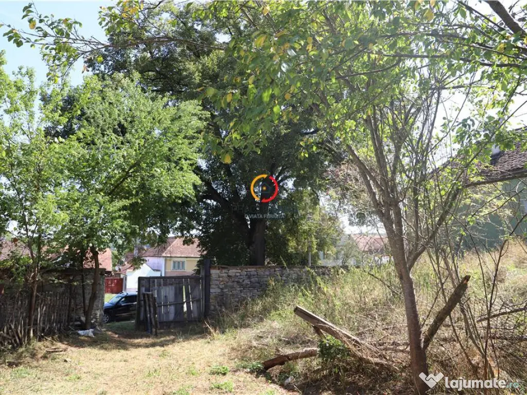 Casa traditionala Bruiu Somartin judet Sibiu