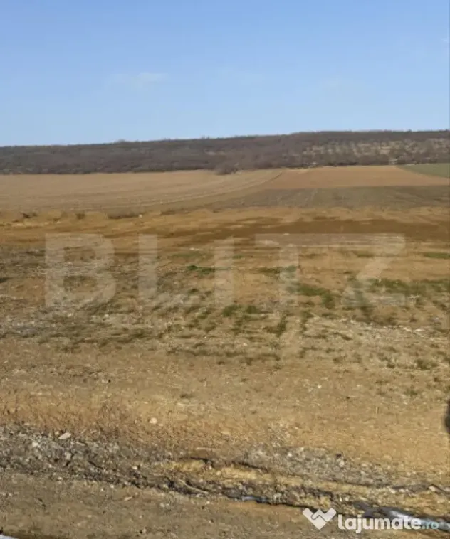 Teren intravilan, 3200 mp la DN 85, la ieșirea din Suceava