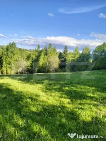 Teren extravilan 7000 mp, Rasca