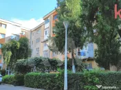 Apartament decomandat, centrala, complet mobilat Craiovita N 
