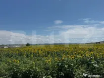 Teren intravilan 20000 mp, Parc Industrial Badeni