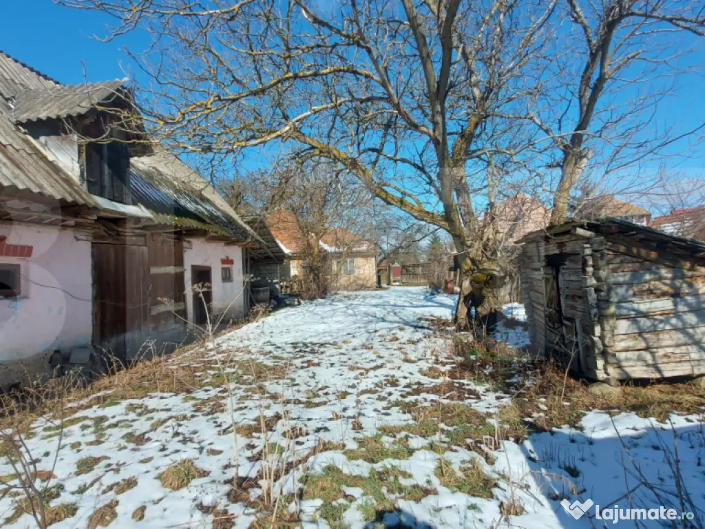 Casa taraneasca cu 3 camere, Turia Jos,