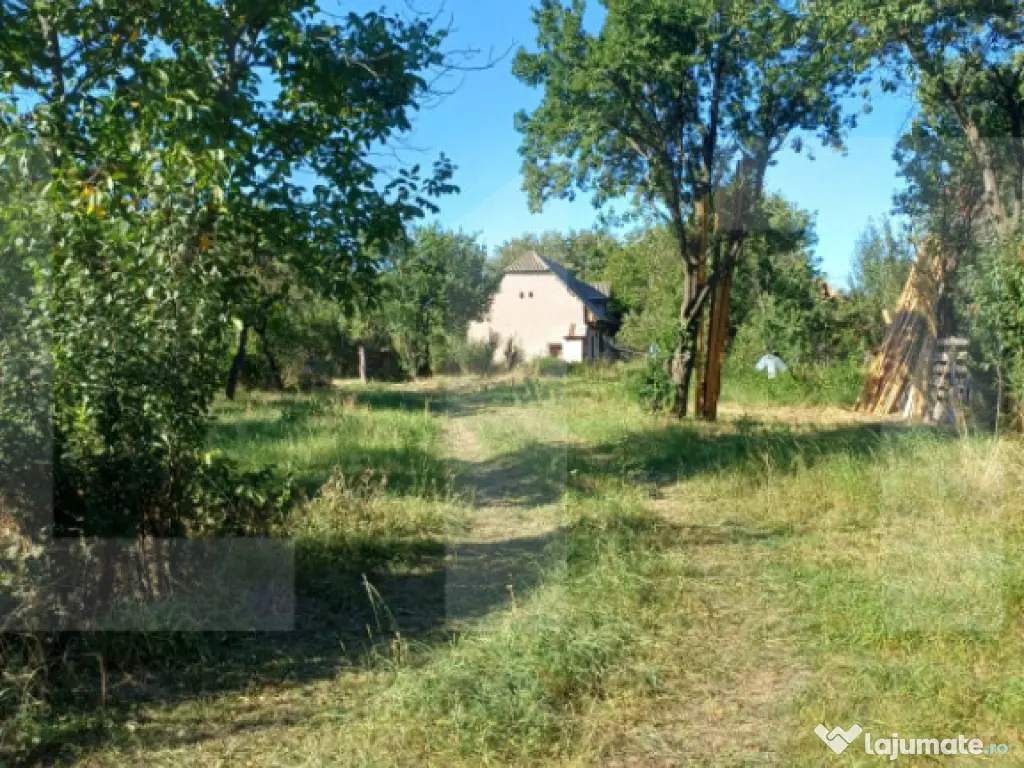 Casa taraneasca cu 3 camere, Turia Jos,
