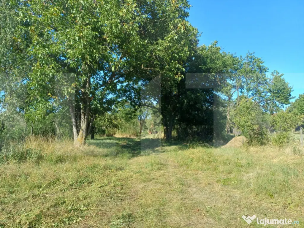 Casa taraneasca cu 3 camere, Turia Jos,