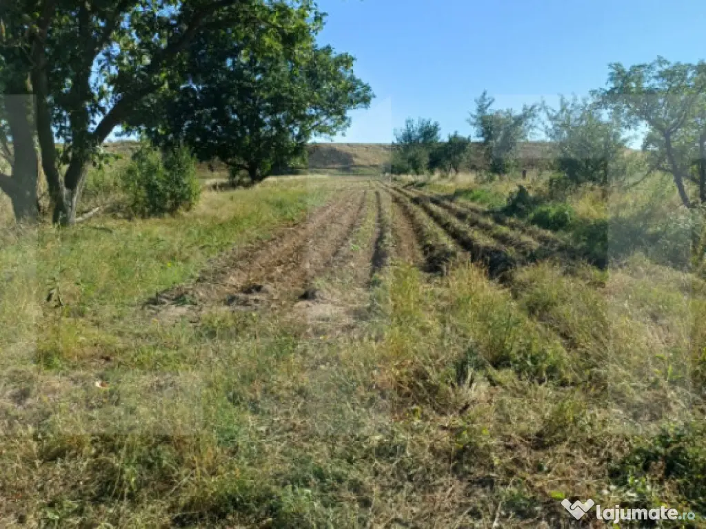 Casa taraneasca cu 3 camere, Turia Jos,