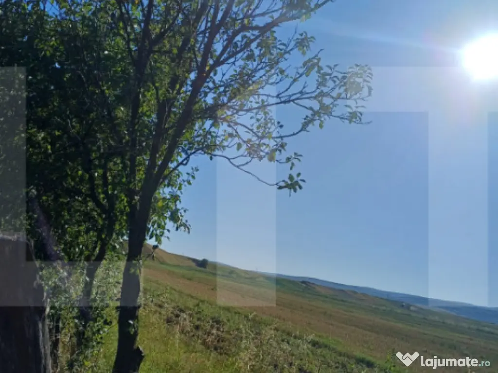 Casa taraneasca cu 3 camere, Turia Jos,