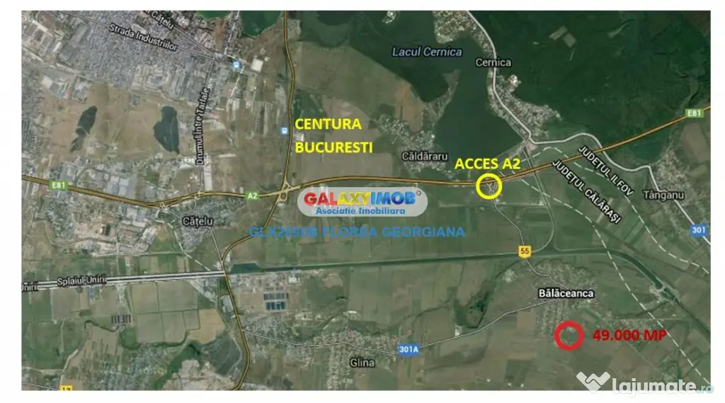 Teren 49.000 mp Balaceanca - Cernica