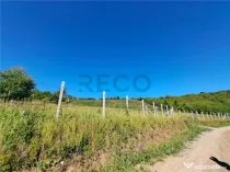 RECO teren intravilan Podgoria