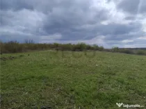 RECO Teren intravilan, Paleu