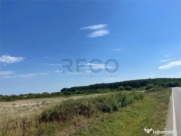 RECO Teren intravilan 3,9 ha -Les