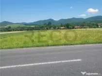 RECO , teren intravilan ,Zona Borod, Bihor