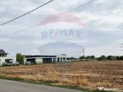 Vanzare Teren Balotesti / Strada Lacul Vlasia 