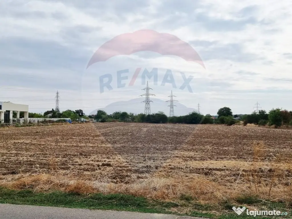 Vanzare Teren Balotesti / Strada Lacul Vlasia