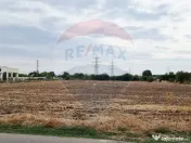 Vanzare Teren Balotesti / Strada Lacul Vlasia 