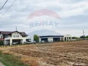 Vanzare Teren Balotesti / Strada Lacul Vlasia 
