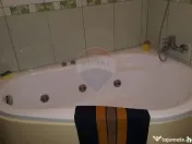 De vanzare vila langa lac la Moara Vlasiei 