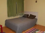 De vanzare vila langa lac la Moara Vlasiei 