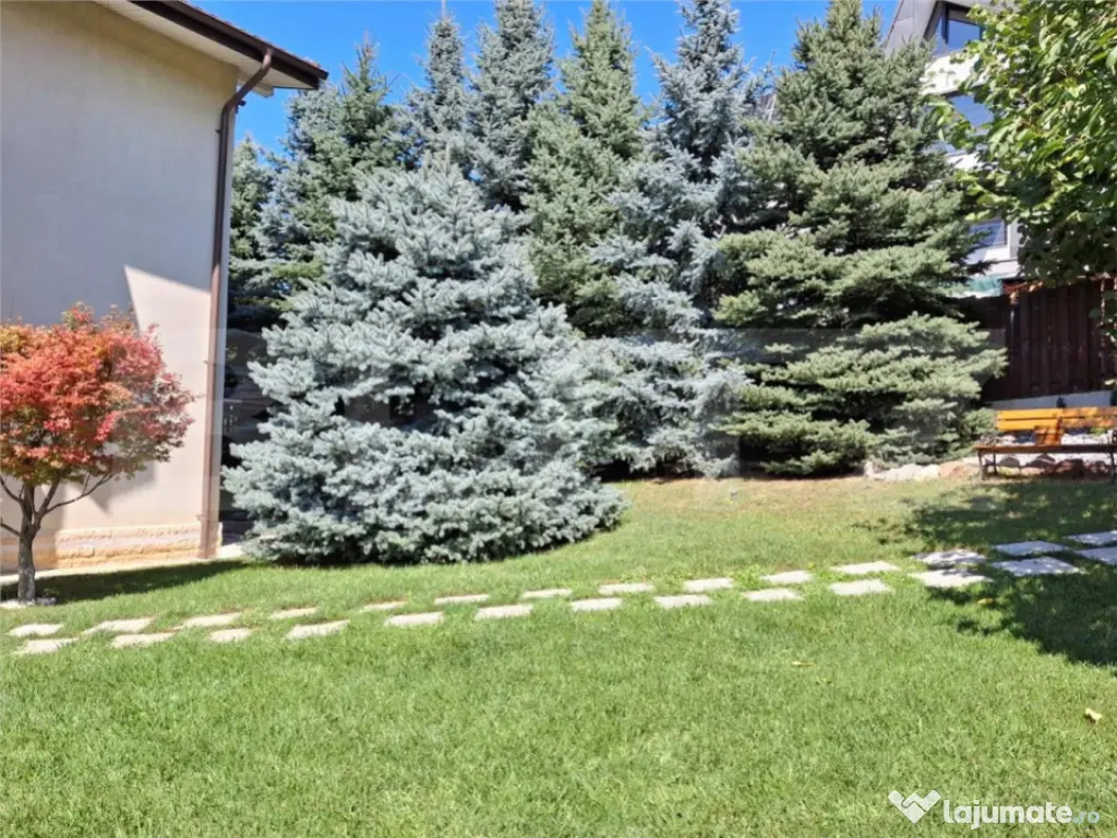 Proprietate elegantă cu teren mare și garaj în Bucium, pe