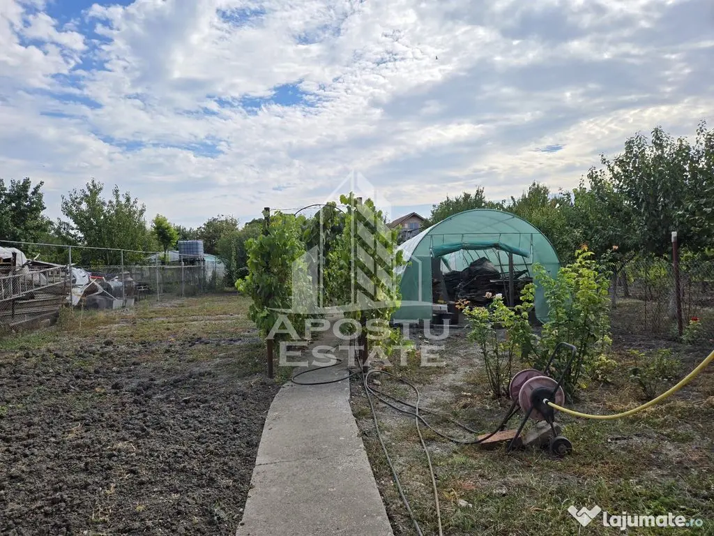 Casa individuala, teren generos, 797 mp, zona Mehala - Timisoara (Timis)