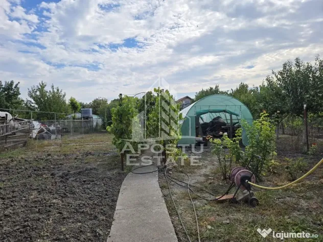 Casa individuala, teren generos, 797 mp, zona Mehala - Timisoara (Timis)