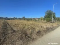 Teren 1000mp ,la intrarea in Filiasi