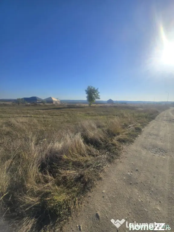 Teren 1000mp ,la intrarea in Filiasi