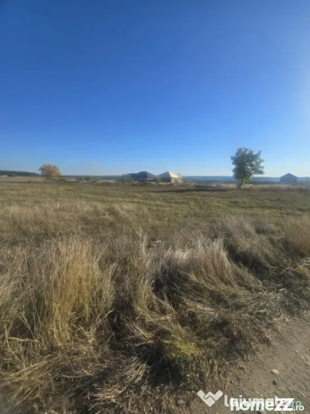 Teren 1000mp ,la intrarea in Filiasi