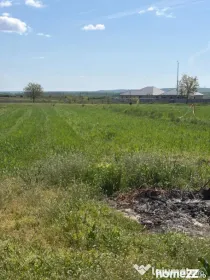 Teren 1000mp ,la intrarea in Filiasi