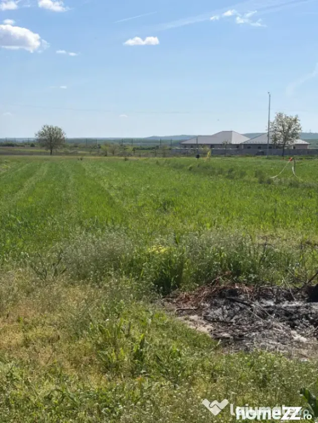 Teren 1000mp ,la intrarea in Filiasi