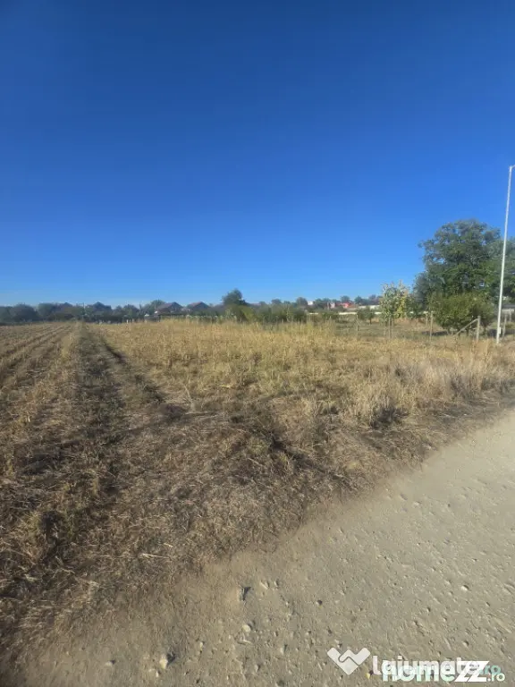 Teren 1000mp ,la intrarea in Filiasi