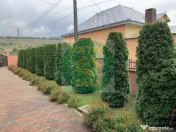 Casa de vanzare zona Roman 